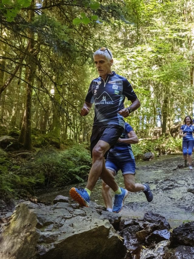 Traileure im Wald von Écouves